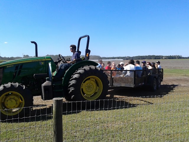 Sykes and Cooper Farms