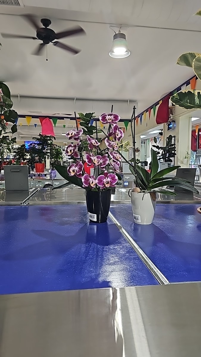 Clean laundry equipment at Wash Wave Laundromat in Waterbury, CT