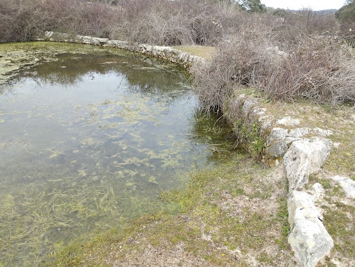 Manantial La Perenala