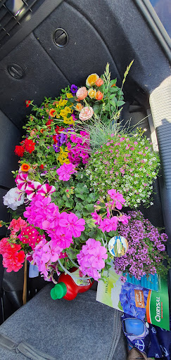 Blumen Klemke - Thumbnail