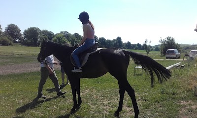 Photos of Etyek Horse Ranch