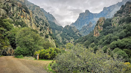 Gorges Heric