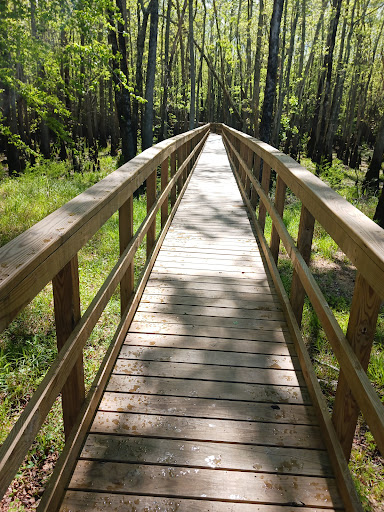 Blackwater Park Gallery - United States