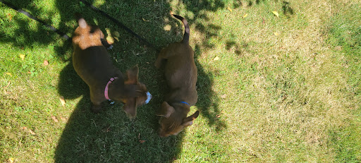 Woodinville Animal Hospital - Thumbnail