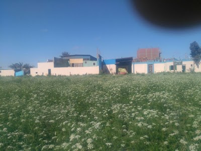 Photos of شركه الرحاب للاعشاب