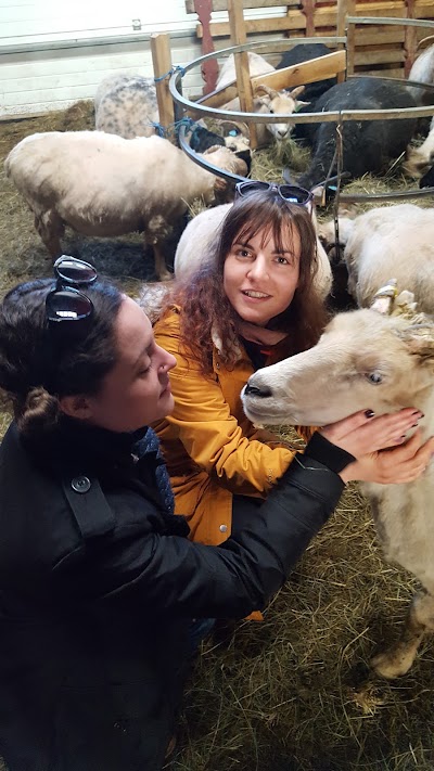 Photos of &Uacute;thl&iacute;&eth; - The Farm