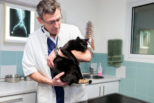 Photo n°23 de Clinique Vétérinaire Antibes Les Pins à Antibes (Vétérinaire)