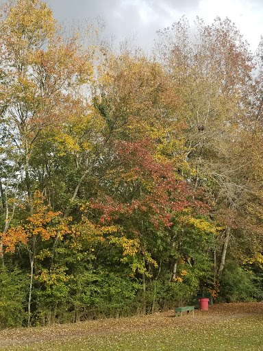 Pates Creek Park Gallery - United States