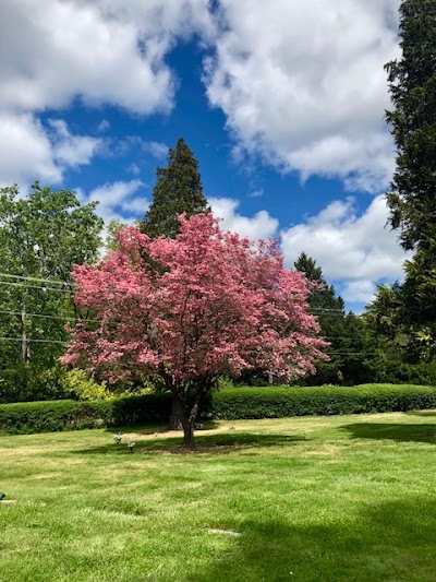 Hawthorne Memorial Gardens