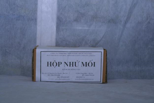 Dịch