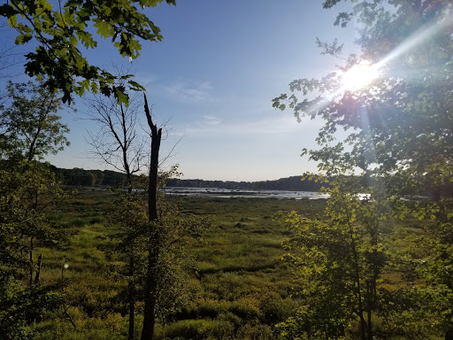 Carol H Sweet Nature Center Gallery - United States