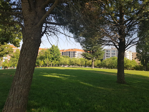 La Eñe - Visual