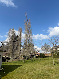 Photo n°28 de Artisan bûcheron élagueur M.Lévêque, service élagage, grimpeur, clôture, paysagiste, débroussaillage, entretien espace vert, à Abbeville (Paysagiste)