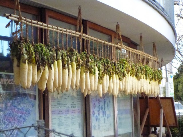Fuji Kindergarten