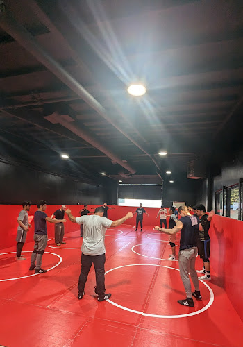 Discipline Wrestling Academy - wrestling in Milpitas, California