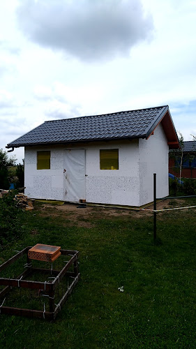 Comentarii opinii despre Patynzzo Wood King