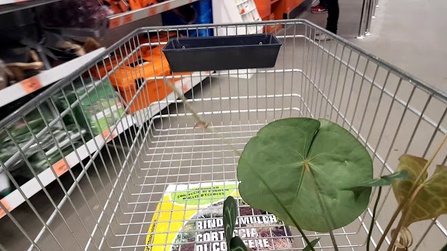 OBI Markt Oftringen Öffnungszeiten