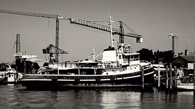 Stade Pier-Luigi-Penzo