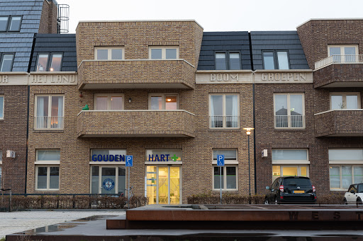 Fysiotherapie Gouden Hart (Fysiotherapie Lansingerland)