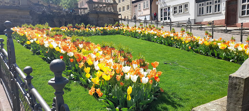 Marktplatz Gotha - Visual