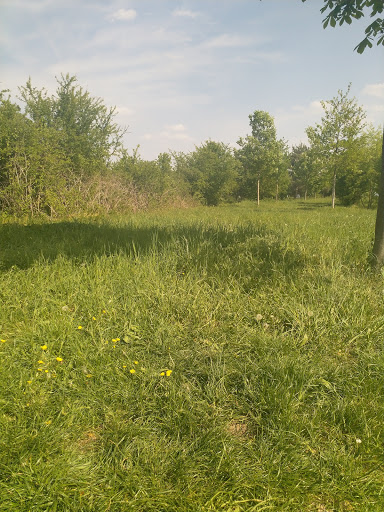 Feudenheimer Bürger Park