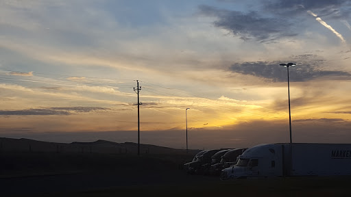 Avenal - Visual
