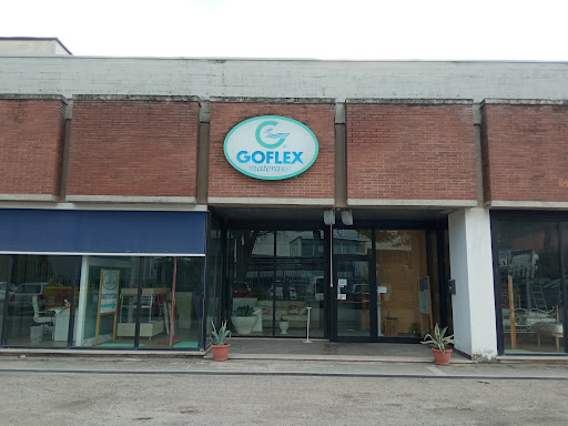 GoFlex - Visual