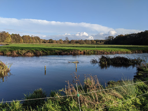 Thundry Meadows