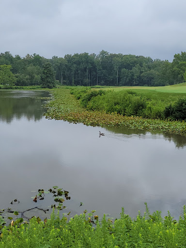 The Preserve at Eisenhower - Thumbnail