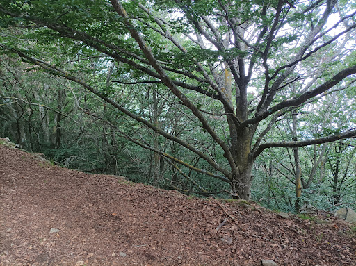 Coll de Sant Joan - Thumbnail