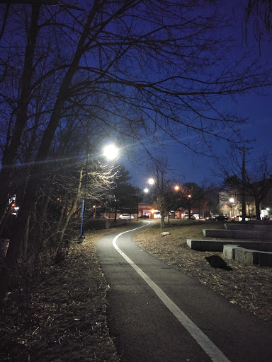 Immigrant Place - Visual
