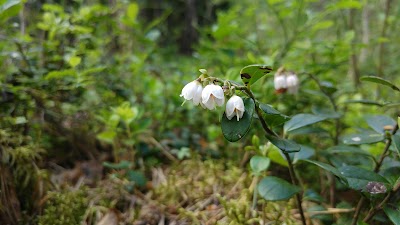 Photos of Mukri nature trail