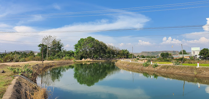 Cầu Thủy Lợi