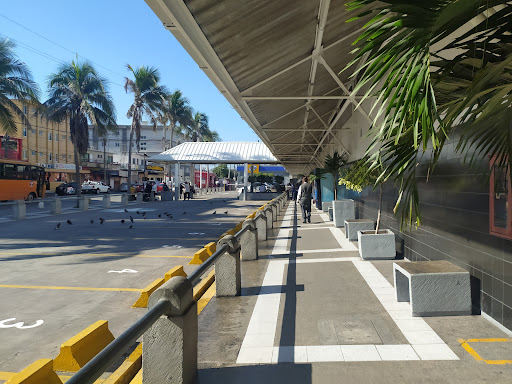 Terminal Central Veracruz, S.A. De C.V. - Thumbnail