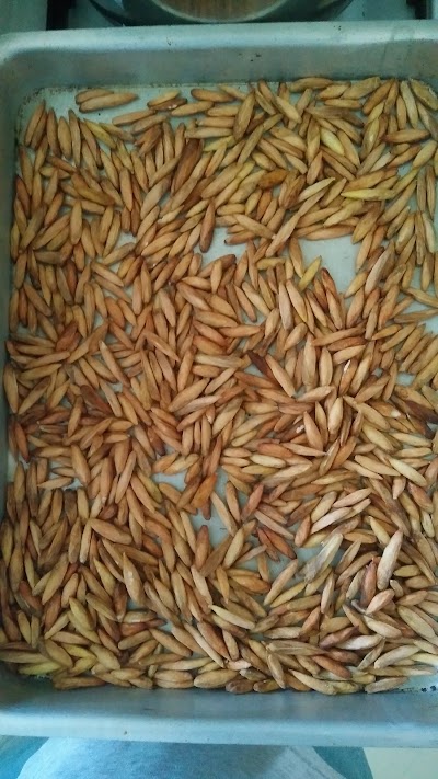 Photos of Bakery Buruzu