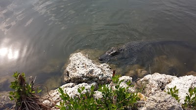 Photos of Wooten's Everglades Airboat Tours