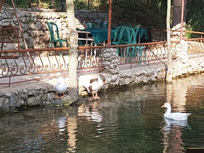 Photos of Rivers Pub - Rachiine