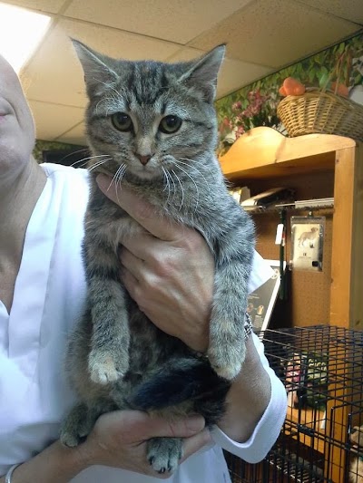 Photos of Governor's Choice Animal Hospital Inc