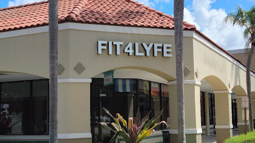 Fit4Lyfe - Visual