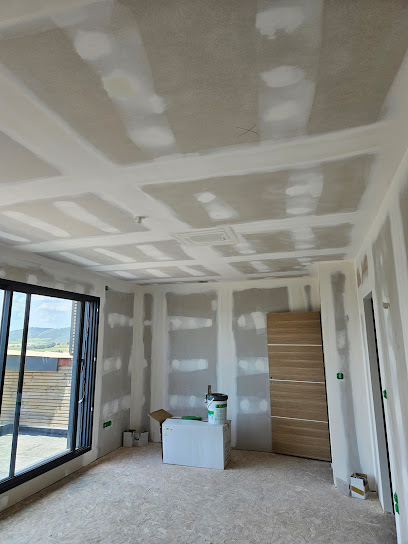 PLAQUISTE ISOLATION RGE PEINTURE PLACO NARBONNE ST MARCEL LEZIGNAN COURSAN LAURENT REGIS