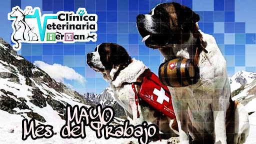 Clínica Veterinaria "HerMan"