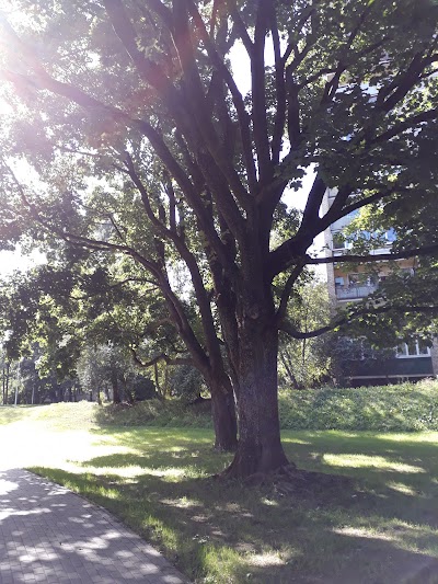 Photos of Juglas promenāde