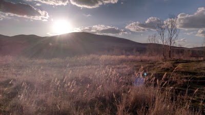 Photos of شهربازی