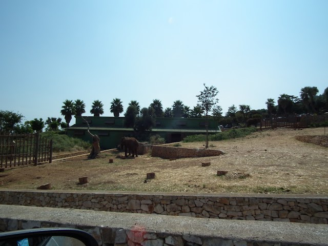 Area Delle Tigri