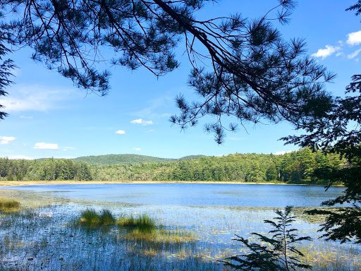 McNair Scenic Trail - Thumbnail
