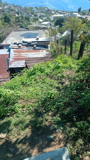 Tlaxcoya - Visual