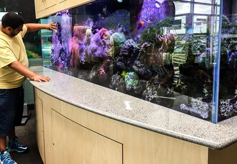 Aquaria Services Inc.