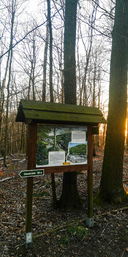 NSG Schusterstein - Thumbnail