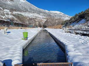 Photo n°2 de Boutique de la Pisciculture des Ecrins à Châteauroux-les-Alpes (Ferme d'élevage)