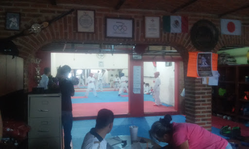 Karate - Visual